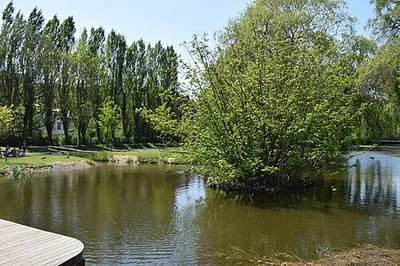 Parc Roi Baudouin - Koning Boudewijnpark