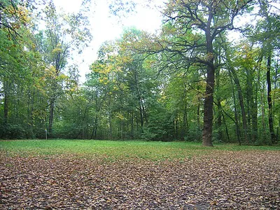 přírodní památka Bažantnice v Satalicích