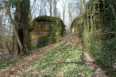 přírodní rezervace Vinořský park