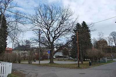 Arvid Storsveens plass