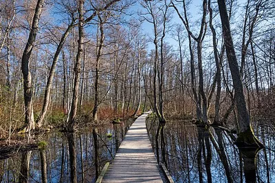 Kyrksjölöten