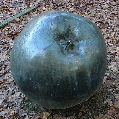 Apfel