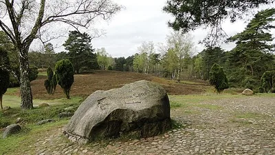 Lönsgrab
