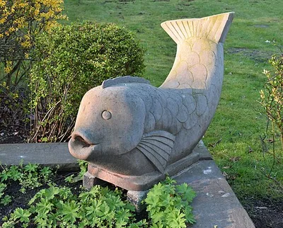 Fisch