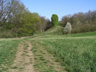 hradiště Zámka
