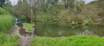 Marais de Ganshoren - Moeras van Ganshoren