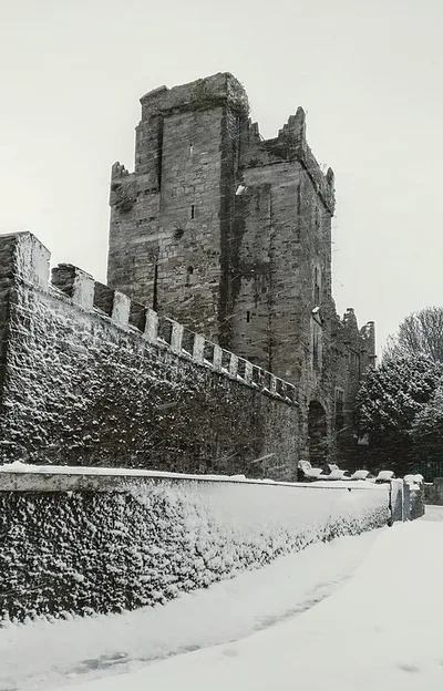 Drimnagh Castle
