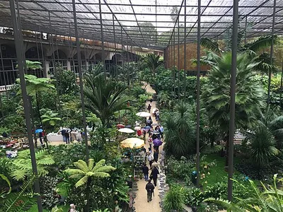 Estufa Fria