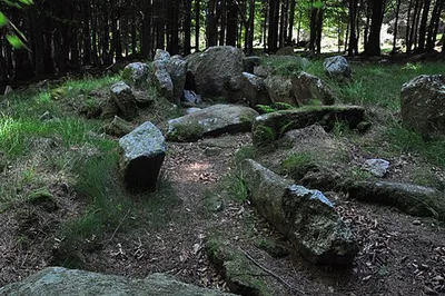 Kilmashogue Wedge Tomb