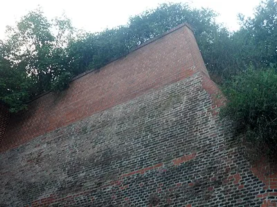 Linienwall