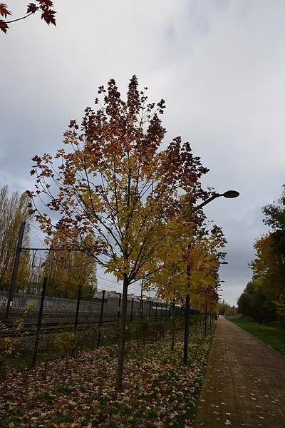 Parc de la Ligne 28 - Park van Lijn 28