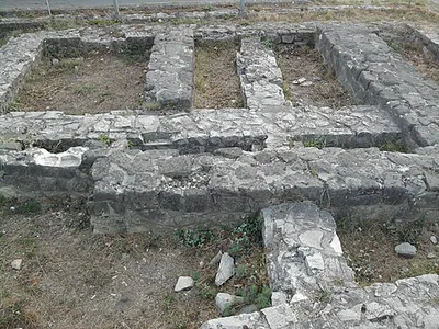 Cella trichora