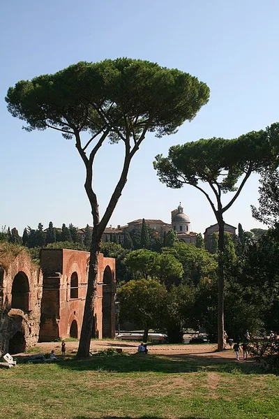 Aqua Neroniana