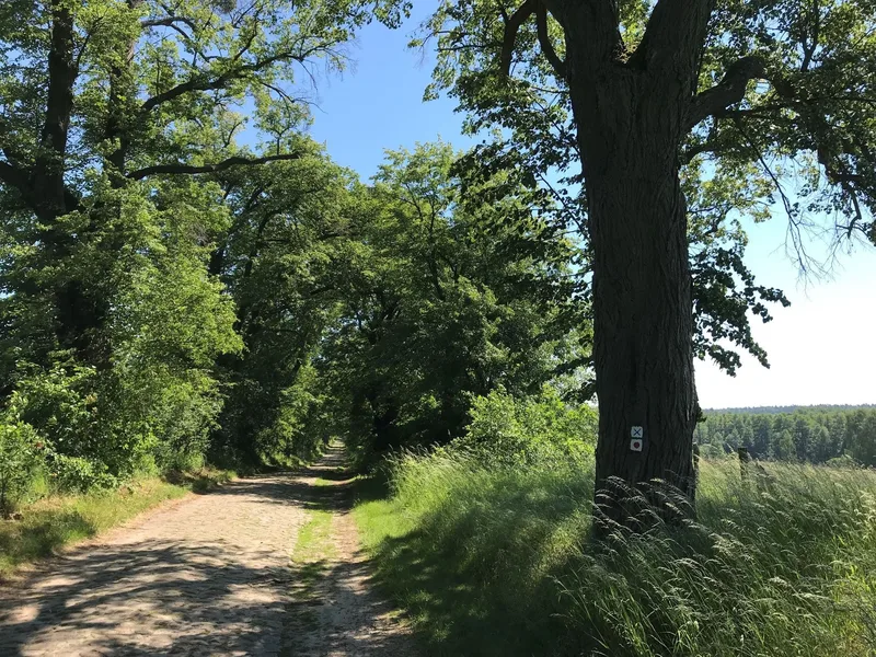 Uckermärker Landrunde