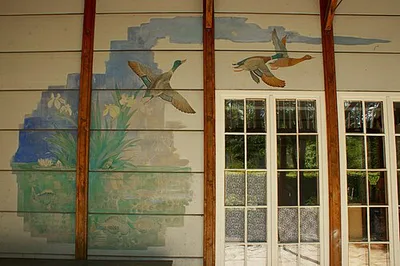 Fliegende Gänse
