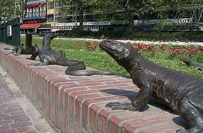 Leidseplein‑Lizards