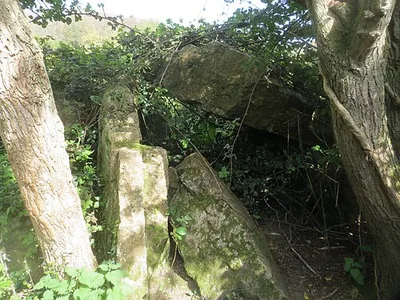Carrickgollogan dolmen/wedge tomb