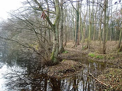 Thielenbruch und Thurner Wald