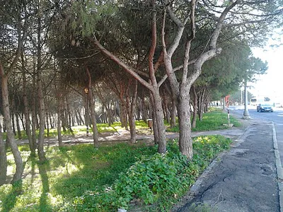 Parque Urbano do Vale Fundão