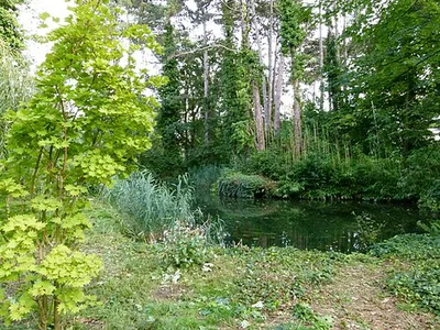 Jardin d'agronomie tropicale René-Dumont