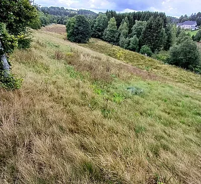 Klüserbachtal und Schwarzbachtal