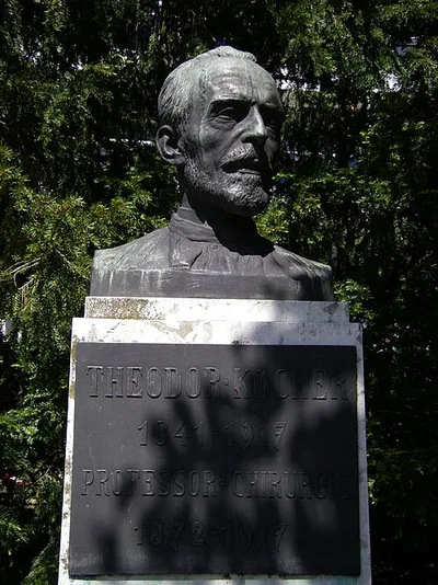 Büste Theodor Kocher