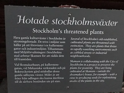 Hotade Stockholmsväxter