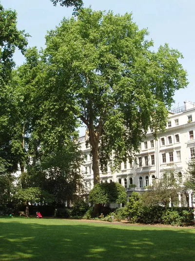 Cornwall Gardens