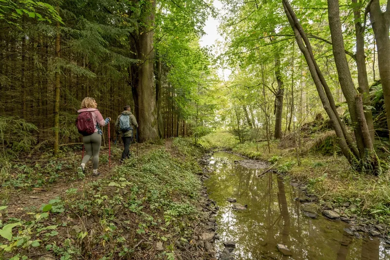 Kammweg Etappe 16 "Vom Burgsteingebiet nach Hirschberg"