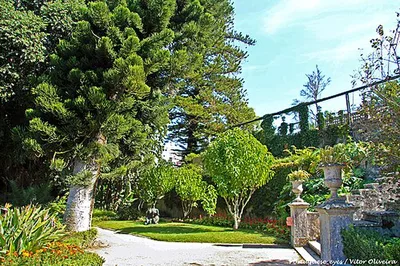 Parque Botânico do Monteiro-Mor