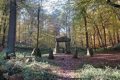 Monument aux Forestiers - Monument voor de Boswachters