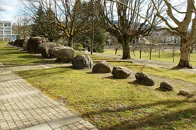 Rückgrat