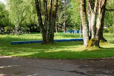 Gemeinschaftsgrab