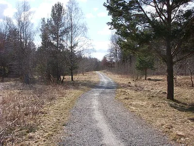 Hagsätraskogens naturreservat