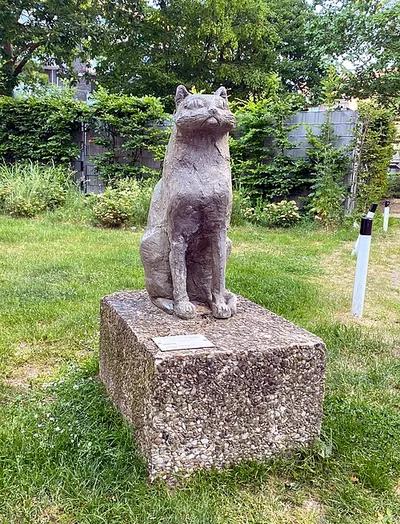 Katze