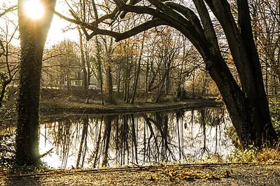 Parc Parmentier - Parmentierpark