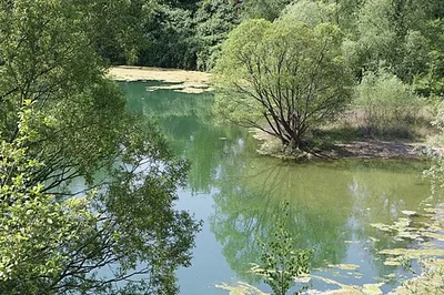 Am Ginsterpfad