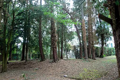 Garten Villa Bomonti