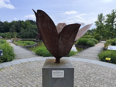 Magnolienblüte 10:1