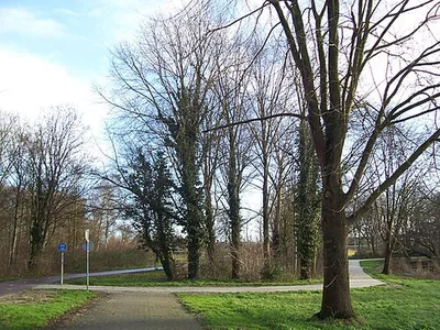 Bijlmerweide