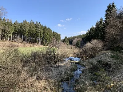 Püngelbachtal