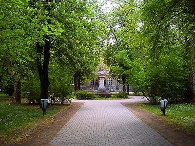 Mátyás király tér