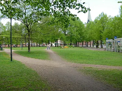 Gråbeinsletta