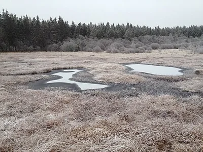 Vennhochfläche bei Mützenich