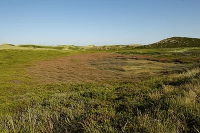 Rantumer Dünen/Sylt