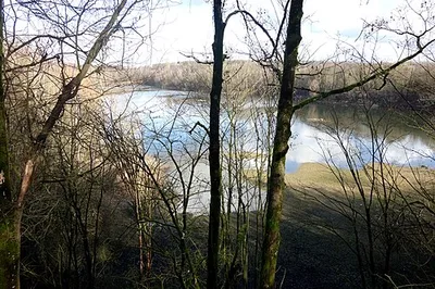 Am Grünen Kuhweg