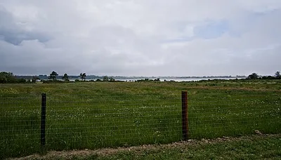 Rogerstown Estuary SAC