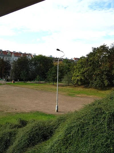 Z vlastního rozhodnutí