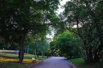 Kronobergsparken