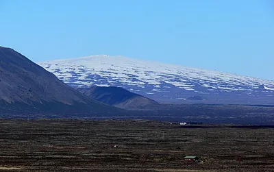 Skjaldbreiður